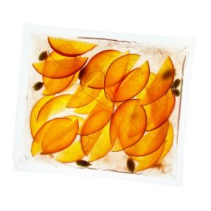 Smooth Sous Vide Bags SIZE S 15 x 22 CM (100pcs)