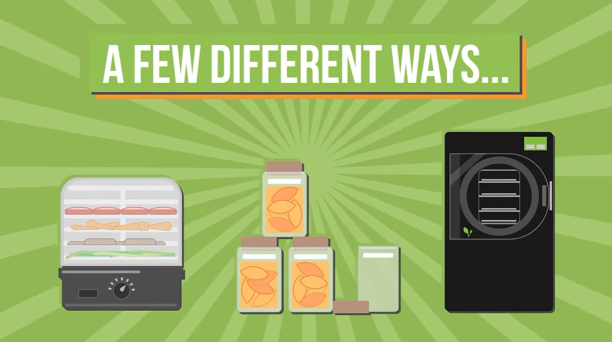 Dehydrating vs. Freeze Drying2 Cuisine Craft